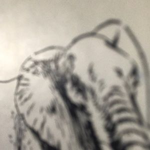 Meet your Posher, Alexandra